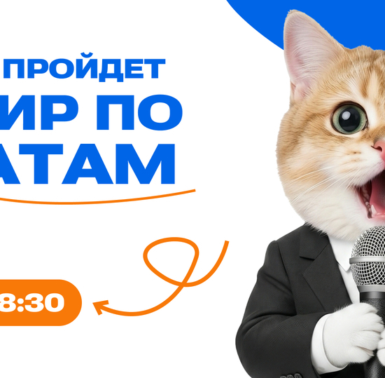 Освойте искусство убеждения: в СПбГУТ пройдет турнир по дебатам
