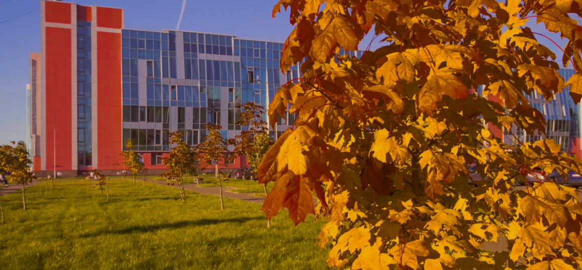 Как работаем, учимся и отдыхаем в ноябре