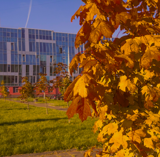 Как работаем, учимся и отдыхаем в ноябре