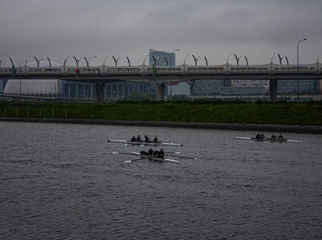 Лево руля! Право руля! Студенты СПбГУТ на соревнованиях по академической гребле