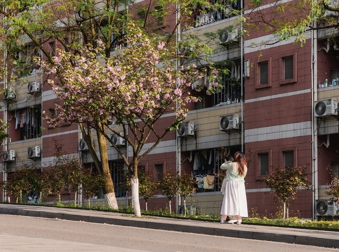 Студенты СПбГУТ стали победителями фотоконкурса в Китае