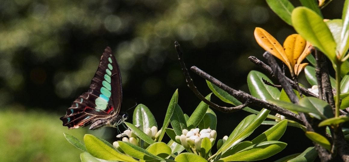 Студенты СПбГУТ стали победителями фотоконкурса в Китае