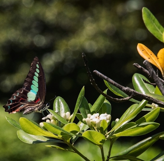 Студенты СПбГУТ стали победителями фотоконкурса в Китае