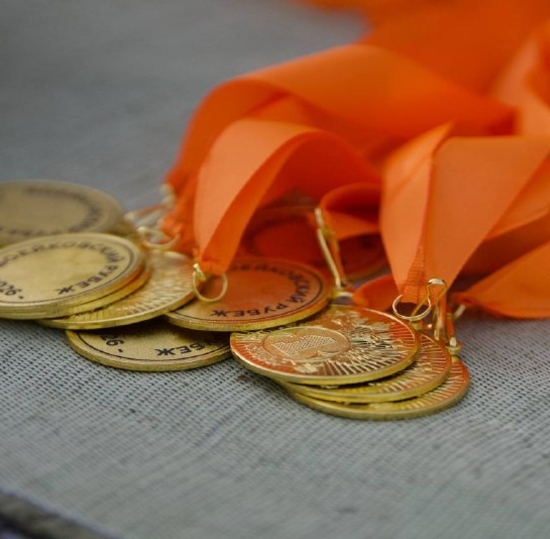 Как прошла игра «Воейковский рубеж»