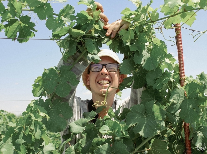Дети, стройка, виноград: студотряды СПбГУТ подвели итоги трудового лета